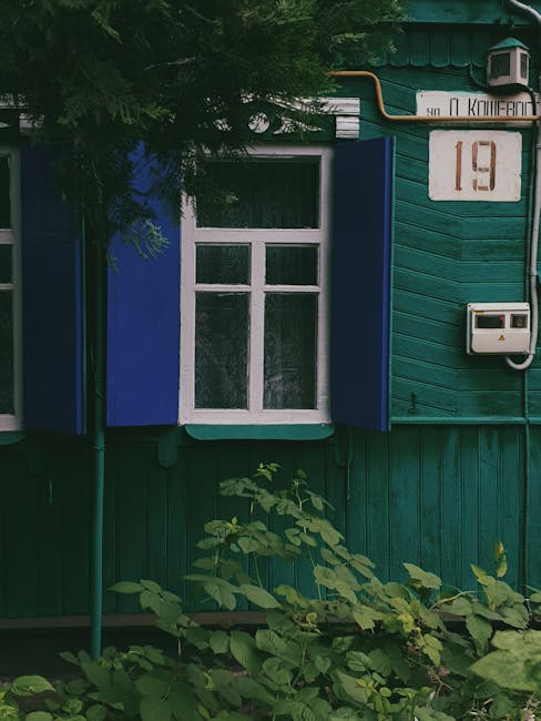 Academic Experts and Educational Content