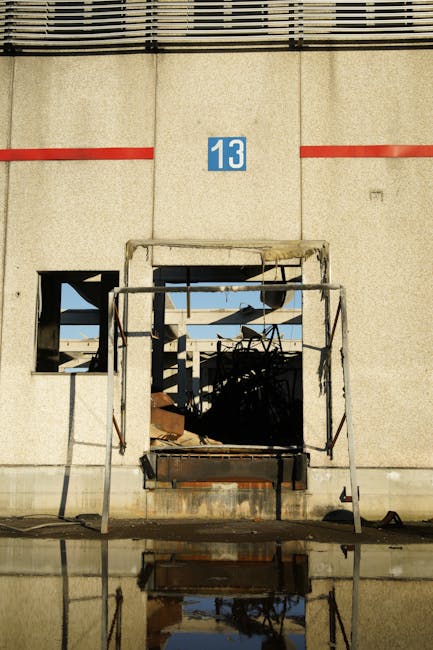 Wildlife and Space Exploration